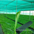 100% HDPE Sun Agricultural Green Shade Net Agriculture Orchard Greenhouses with Shade Netting Cover